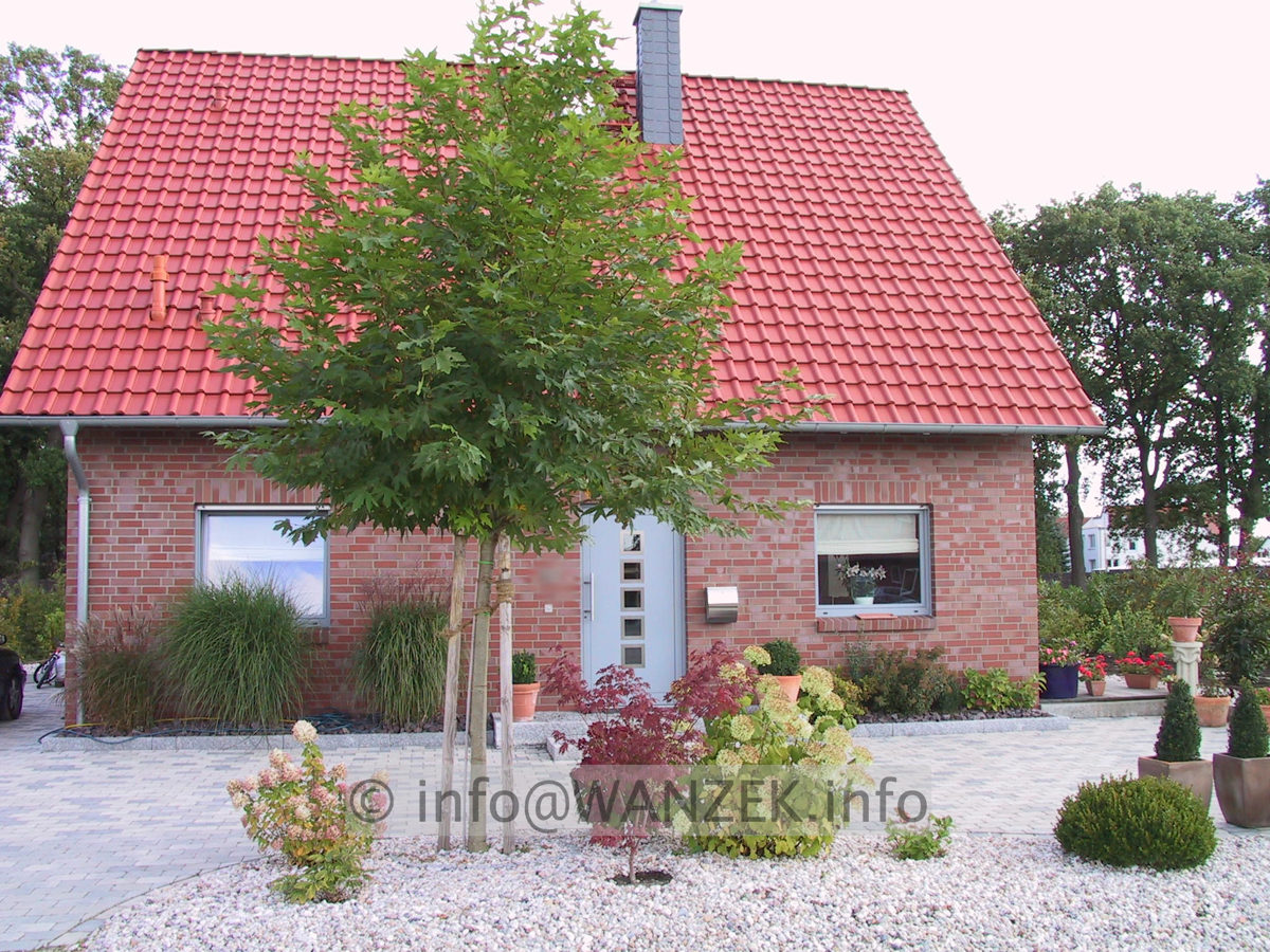 Platanus orientalis Minaret - Baum1.JPG